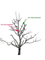 IMG_4287_cutout.webp