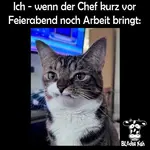Bild 1.webp Bild 1.webp
