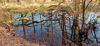20260120_154144.webp