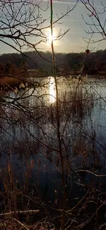 20260120_154335.webp