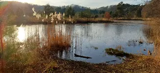 20260120_154454.webp