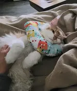 20260120_213604.webp 20260120_213604.webp