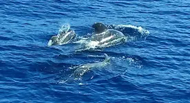 IMG-20260121-WA0000.webp