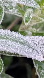 1-WhatsApp Image 2026-01-25 at 09.09.04 (2).webp