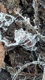 1-WhatsApp Image 2026-01-25 at 09.09.04 (5).webp