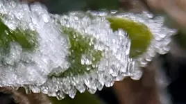 1-WhatsApp Image 2026-01-25 at 09.09.06 (2).webp