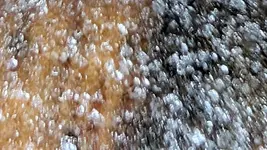 1-WhatsApp Image 2026-01-25 at 09.09.06 (3).webp