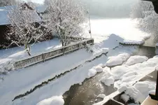 Graureiher0819.webp