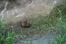 025.webp