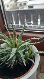 20260125_145705.webp