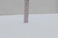 Schneehöhe 20260126.webp