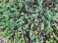 IMG_20260127_122745_1.webp