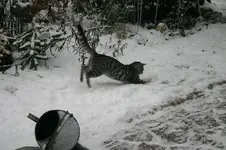 Jan.0110.webp
