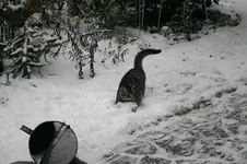 Jan.0310.webp