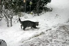 Jan.0510.webp