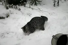 Jan.0610.webp