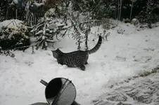 Jan.0810.webp