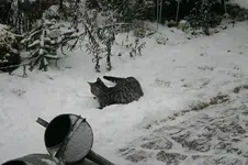 Jan.0910.webp