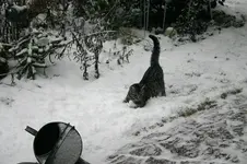 Jan.0410.webp