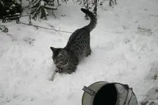 Jan.0710.webp