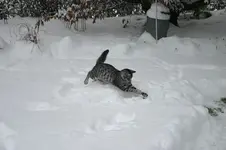 Jan.2310a.webp