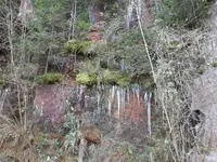 IMG-20260127-WA0001.webp
