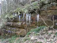 IMG-20260127-WA0012.webp