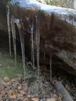 IMG-20260127-WA0007.webp