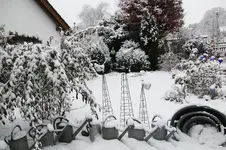 Winter     0425.webp
