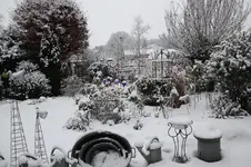 Winter     0625.webp
