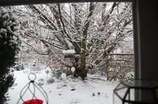 Winter     0725.webp