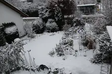 Winter     0925.webp