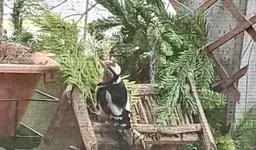 20260129_094015.webp