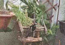 20260129_094026.webp