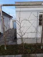 20260117_114413.webp
