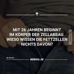 Bild.webp
