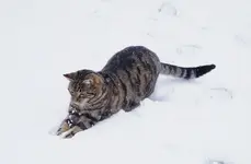 ftwttbwrbJan26.webp