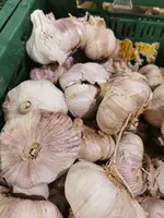 IMG_20260130_130005.webp IMG_20260130_130005.webp