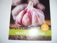 Pflanzknoblauch (1).webp