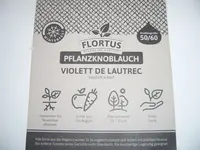 Pflanzknoblauch (2).webp