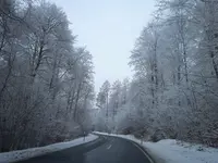 IMG_20260129_101207.webp
