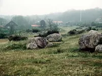S-1984-8.webp