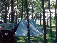 S-1987-9.webp