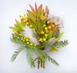 20.webp
