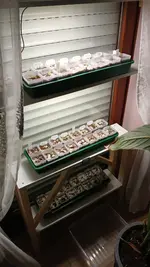 20260128_172307.webp