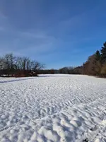 20260204_105742.webp