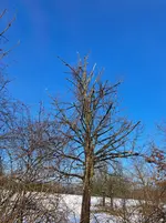 20260204_105418.webp