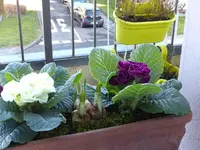 011.webp