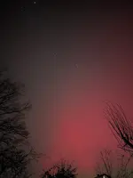 PXL_20260119_222333064.NIGHT.webp