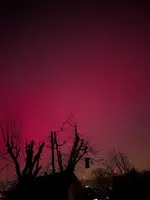 PXL_20260119_222100722.NIGHT.webp
